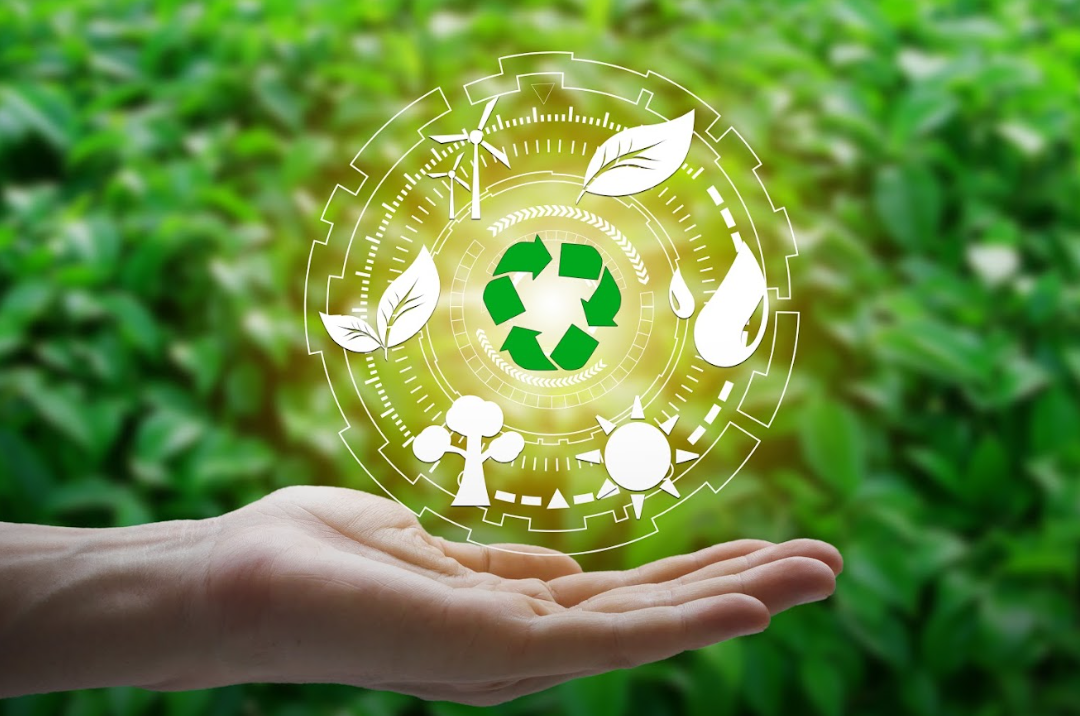 Certifications and environmental practices at Urvina